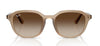 #colour_turtledove-brown-gradient