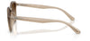 #colour_turtledove-brown-gradient