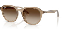 #colour_turtledove-brown-gradient