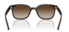 #colour_havana-brown-gradient