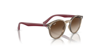 Ray-Ban Junior RJ9064S Transparent Brown/Brown #colour_transparent-brown-brown