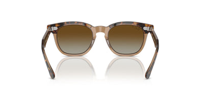 Ray-Ban Junior RJ9098S Havana Transparent/Brown #colour_havana-transparent-brown