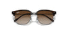 Ray-Ban Junior New Clubmaster RJ9116S Havana On Gunmetal/Brown #colour_havana-on-gunmetal-brown