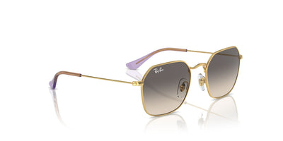 Ray-Ban Junior RJ9594S Gold/Grey #colour_gold-grey