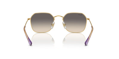 Ray-Ban Junior RJ9594S Gold/Grey #colour_gold-grey