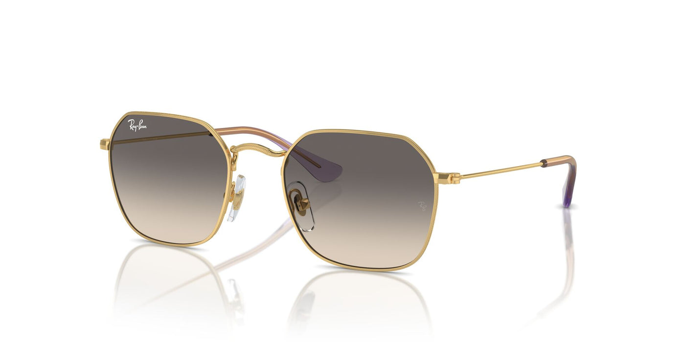 Ray-Ban Junior RJ9594S Gold/Grey #colour_gold-grey