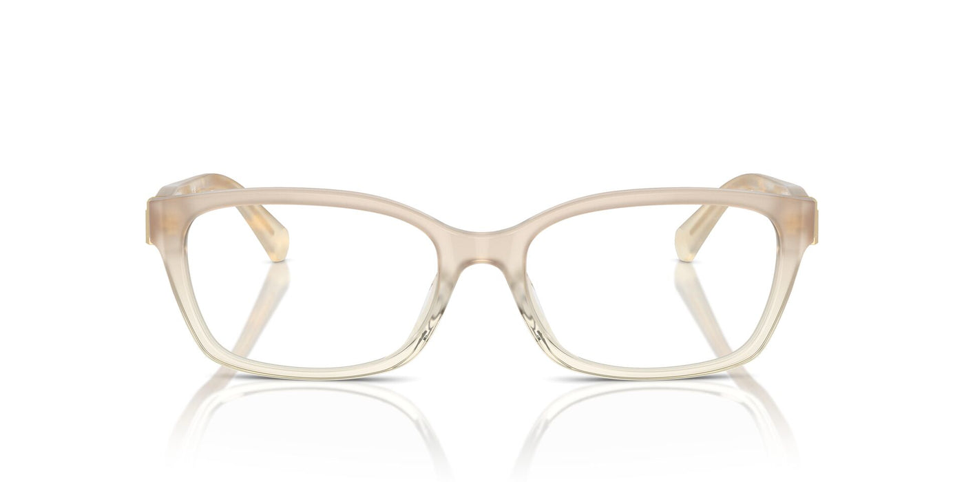 Ralph Lauren RL6244U Transparent Light Brown #colour_transparent-light-brown