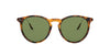 Ralph Lauren RL8181P Shiny Antique Havana/Green #colour_shiny-antique-havana-green