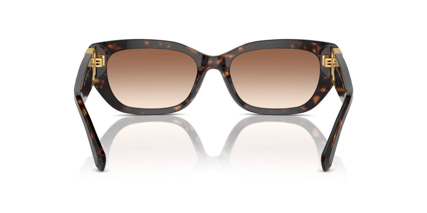 Ralph Lauren The Bridget RL8222 Dark Havana/Brown Gradient #colour_dark-havana-brown-gradient