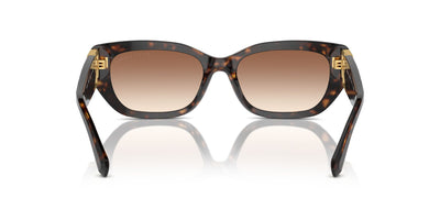 Ralph Lauren The Bridget RL8222 Dark Havana/Brown Gradient #colour_dark-havana-brown-gradient