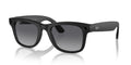 Ray-Ban Meta Wayfarer RW4008