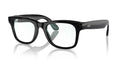 Ray-Ban Meta Wayfarer RW4008