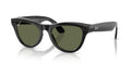 Ray-Ban Meta Skyler RW4010
