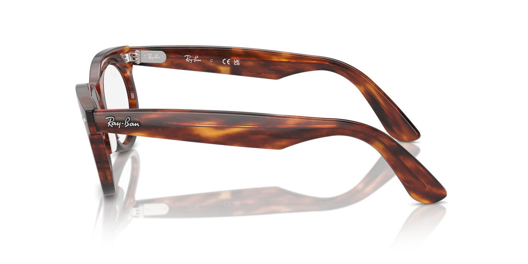 Ray-Ban Wayfarer Oval RB2242V Oval Glasses | Fashion Eyewear US