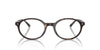 Ray-Ban German RB5429 Havana #colour_havana
