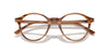 Ray-Ban Bernard RB5430 Striped Brown #colour_striped-brown