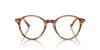 Ray-Ban Bernard RB5430 Striped Brown #colour_striped-brown