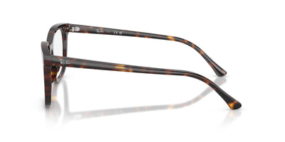 Ray-Ban RB5446 Havana #colour_havana