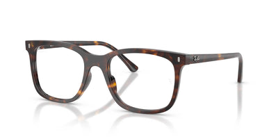 Ray-Ban RB5446 Havana #colour_havana