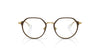 Ray-Ban Junior RB1058 Brown On Gold #colour_brown-on-gold