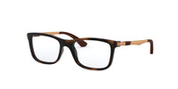 Ray-Ban Junior RB1549 Havana #colour_havana