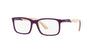 Ray-Ban Junior RB1621 Purple On Light Brown #colour_purple-on-light-brown
