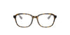 Ray-Ban Junior RB1627 Havana On Transparent #colour_havana-on-transparent