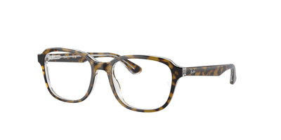 Ray-Ban Junior RB1627 Havana On Transparent #colour_havana-on-transparent