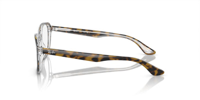 Ray-Ban Junior RB1627 Havana On Transparent #colour_havana-on-transparent