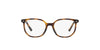 Ray-Ban Junior Rob Elliot RB9097V Havana #colour_havana