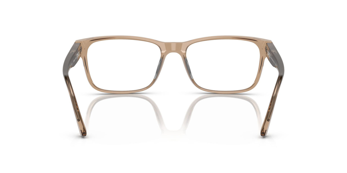 Starck SH3083 Light Transparent Brown #colour_light-transparent-brown