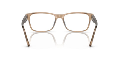 Starck SH3083 Light Transparent Brown #colour_light-transparent-brown