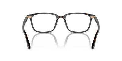 Starck SH3098 Dark Honey Havana #colour_dark-honey-havana