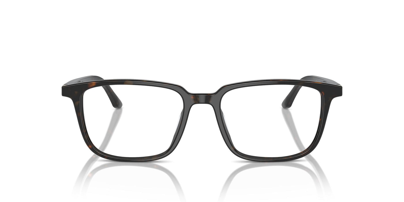 Starck SH3098 Dark Honey Havana #colour_dark-honey-havana