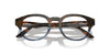 Starck SH3099 Brown Havana-Striped Blue #colour_brown-havana-striped-blue