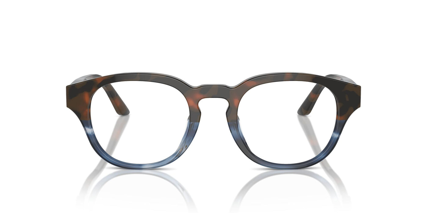 Starck SH3099 Brown Havana-Striped Blue #colour_brown-havana-striped-blue