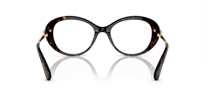 Swarovski SK2001 Dark Havana #colour_dark-havana