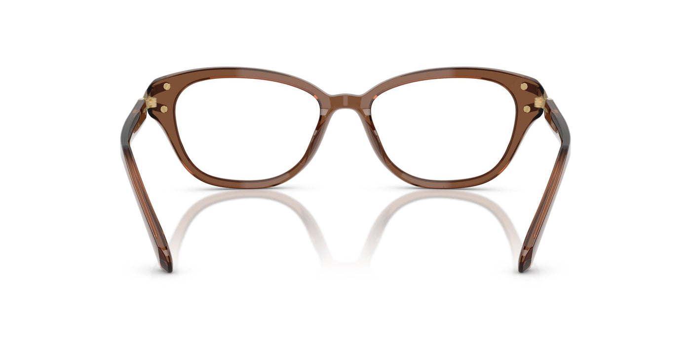 Swarovski SK2032 Transparent Brown #colour_transparent-brown