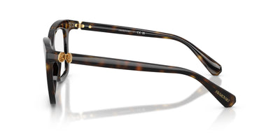Swarovski SK2043 Havana #colour_havana