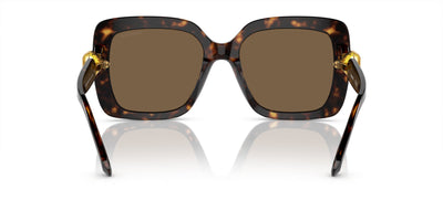 Swarovski SK6001 Havana/Dark Brown #colour_havana-dark-brown