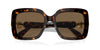 Swarovski SK6001 Havana/Dark Brown #colour_havana-dark-brown