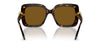 Swarovski SK6001 Havana/Brown Polarised #colour_havana-brown-polarised