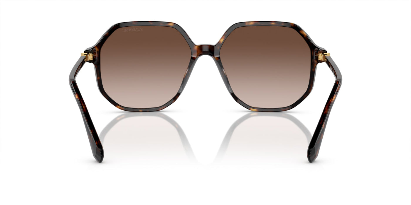 Swarovski SK6003 Havana/Brown Gradient #colour_havana-brown-gradient