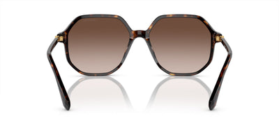 Swarovski SK6003 Havana/Brown Gradient #colour_havana-brown-gradient