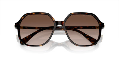 Swarovski SK6003 Havana/Brown Gradient #colour_havana-brown-gradient