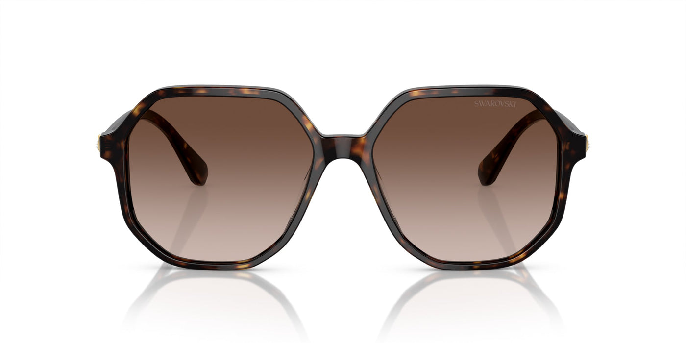 Swarovski SK6003 Havana/Brown Gradient #colour_havana-brown-gradient