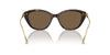 Swarovski SK6010 Havana/Dark Brown #colour_havana-dark-brown