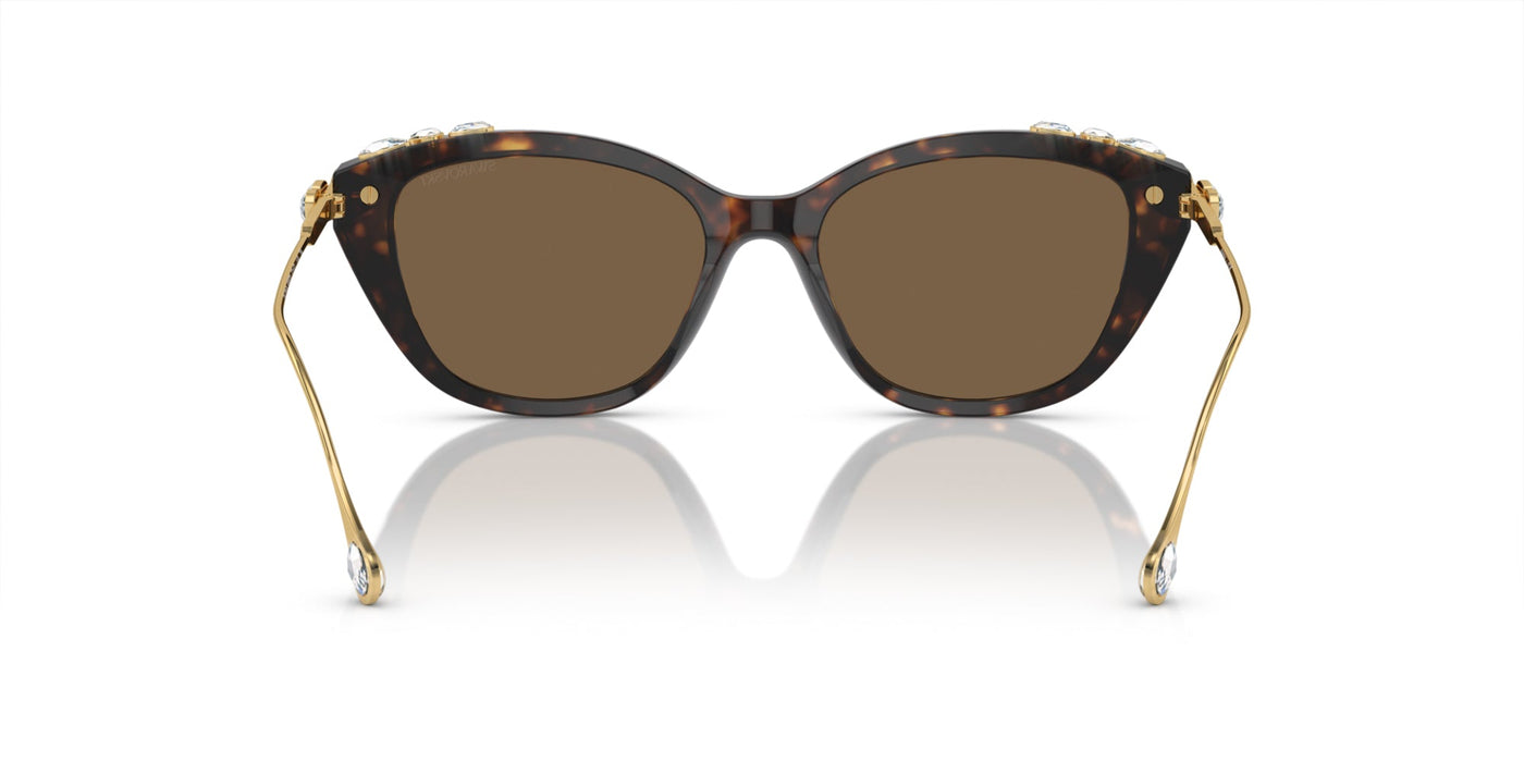 Swarovski SK6010 Havana/Dark Brown #colour_havana-dark-brown