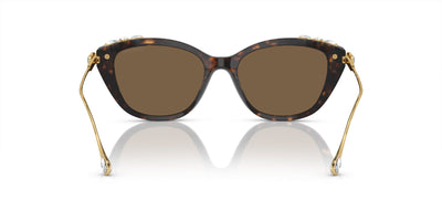 Swarovski SK6010 Havana/Dark Brown #colour_havana-dark-brown