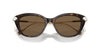 Swarovski SK6010 Havana/Dark Brown #colour_havana-dark-brown